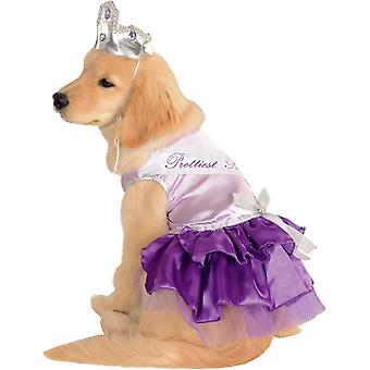 Más bonitos perro mascota traje