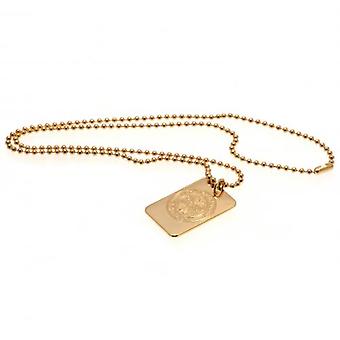 Celtic Gold Plated Dog Tag & Chain
